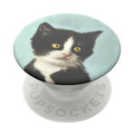 Load image into Gallery viewer, Ralphie