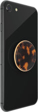 Load image into Gallery viewer, Acetate Classic Tortoise