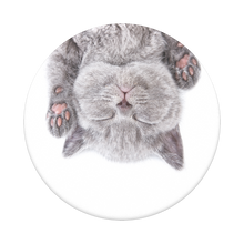 Load image into Gallery viewer, Cat Nap