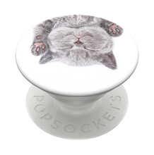 Load image into Gallery viewer, Cat Nap