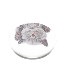 Load image into Gallery viewer, Cat Nap