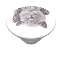 Load image into Gallery viewer, Cat Nap