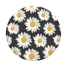 Load image into Gallery viewer, Daisies
