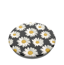 Load image into Gallery viewer, Daisies
