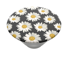 Load image into Gallery viewer, Daisies
