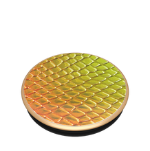 Load image into Gallery viewer, Iridescent Snake Golden Copper