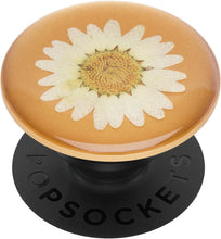 Load image into Gallery viewer, Pressed Flower White Daisy