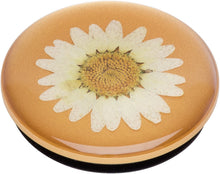Load image into Gallery viewer, Pressed Flower White Daisy