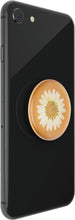 Load image into Gallery viewer, Pressed Flower White Daisy