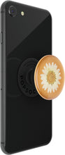 Load image into Gallery viewer, Pressed Flower White Daisy