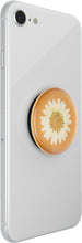 Load image into Gallery viewer, Pressed Flower White Daisy