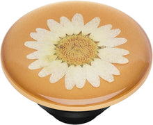 Load image into Gallery viewer, Pressed Flower White Daisy