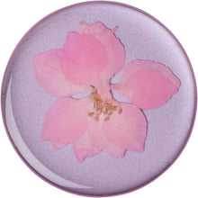Load image into Gallery viewer, Pressed Flower Delphinium Pink