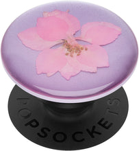 Load image into Gallery viewer, Pressed Flower Delphinium Pink