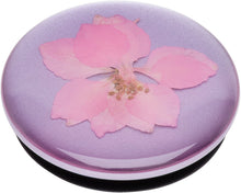 Load image into Gallery viewer, Pressed Flower Delphinium Pink