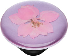 Load image into Gallery viewer, Pressed Flower Delphinium Pink