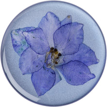 Load image into Gallery viewer, Pressed Flower Larkspur Purple