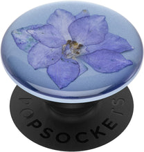 Load image into Gallery viewer, Pressed Flower Larkspur Purple