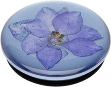 Load image into Gallery viewer, Pressed Flower Larkspur Purple