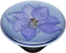 Load image into Gallery viewer, Pressed Flower Larkspur Purple