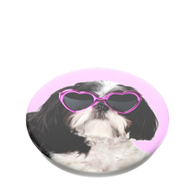Load image into Gallery viewer, Sassy Shih Tzu