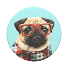 Load image into Gallery viewer, Studious Stu