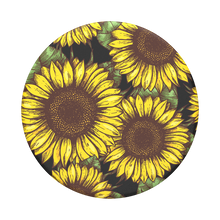 Load image into Gallery viewer, Sunflower Power