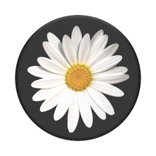 Load image into Gallery viewer, White Daisy