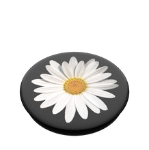 Load image into Gallery viewer, White Daisy