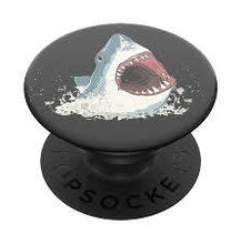 Load image into Gallery viewer, Shark!